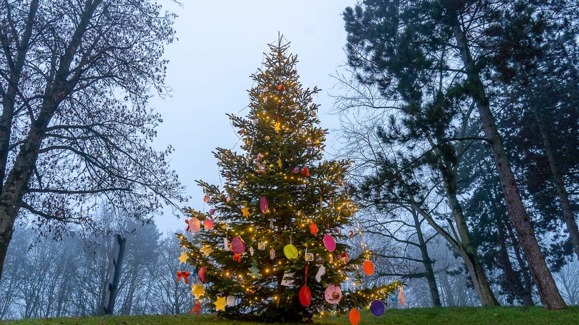 Weihnachtsbaum am Schelmengraben