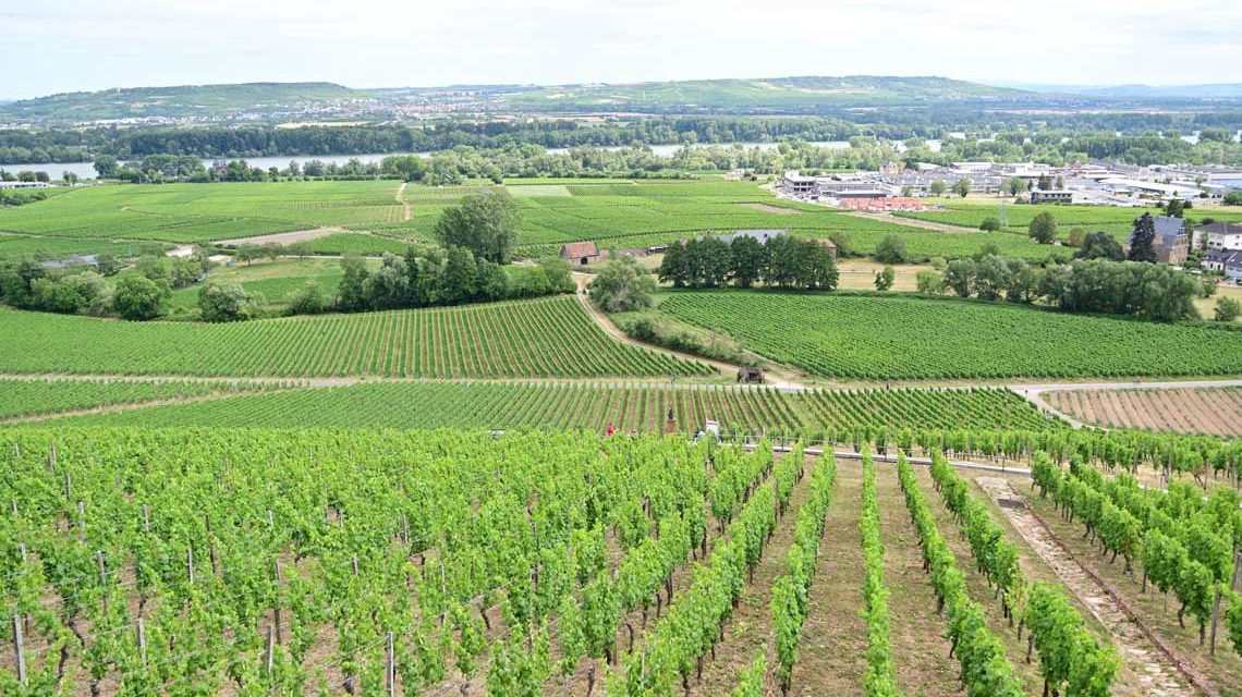 Schloss Johannisberg im Rheingau
