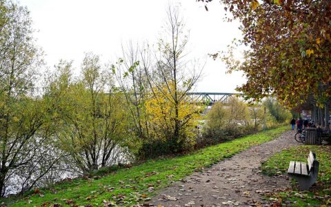 Rheinpark-Kostheim