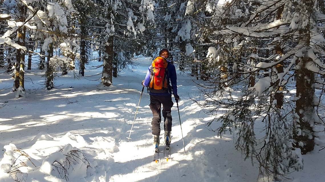 Langlauf am Feldberg