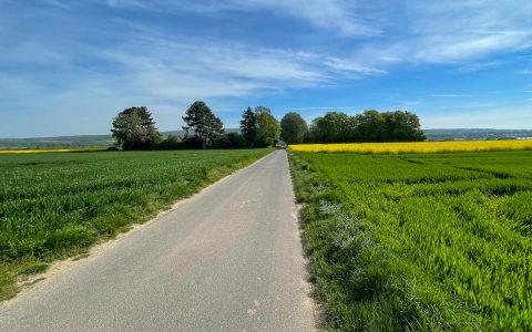 Frühsommerluft hält im Südwesten Einzug