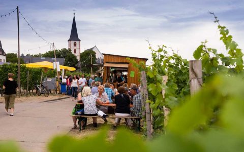 Weinfest in den Weinbergen