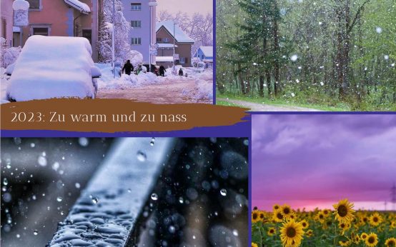 Jahresrückblick, Das Wetter mit extremen