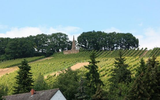 Goetheturm in Frauenstein