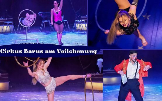 Cirkus Barus gastiert in Wiesbaden