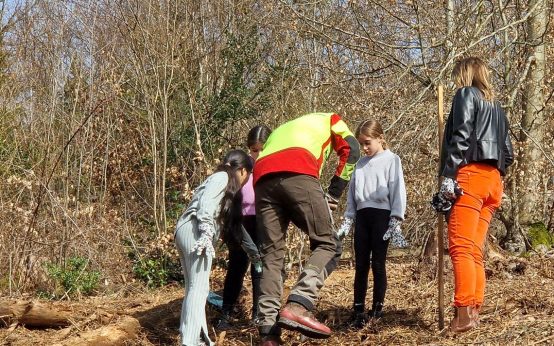 21 Kinder der Grundschule Schelmengraben waren eifrig dabei, als 25 Exemplare der „Echten Mehlbeere“, dem „Baum des Jahres 2024“ im Weilburger Tal gepflanzt wurden. Sie wurden dabei unterstützt und begleitet von städtischen Mitarbeitenden und von Bürgermeisterin Christiane Hinninger (rechts).