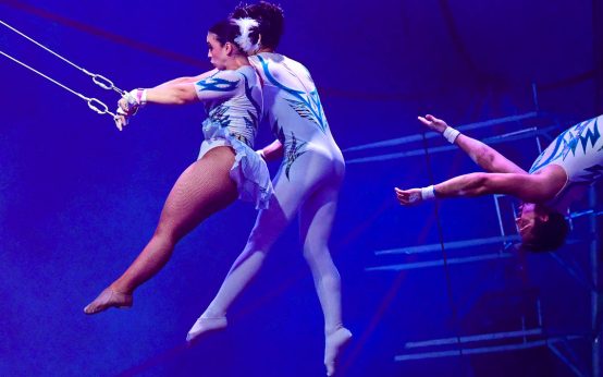 Circus Gebrüder Barelli ist zurück