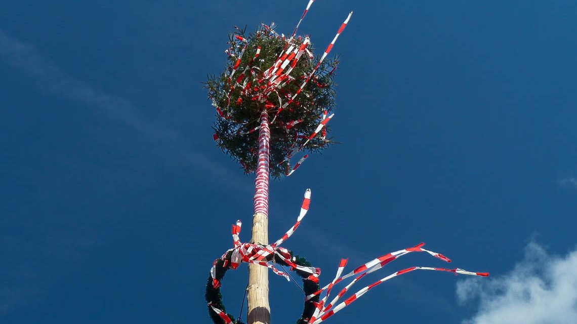 Kerbebaum, Symbolbild