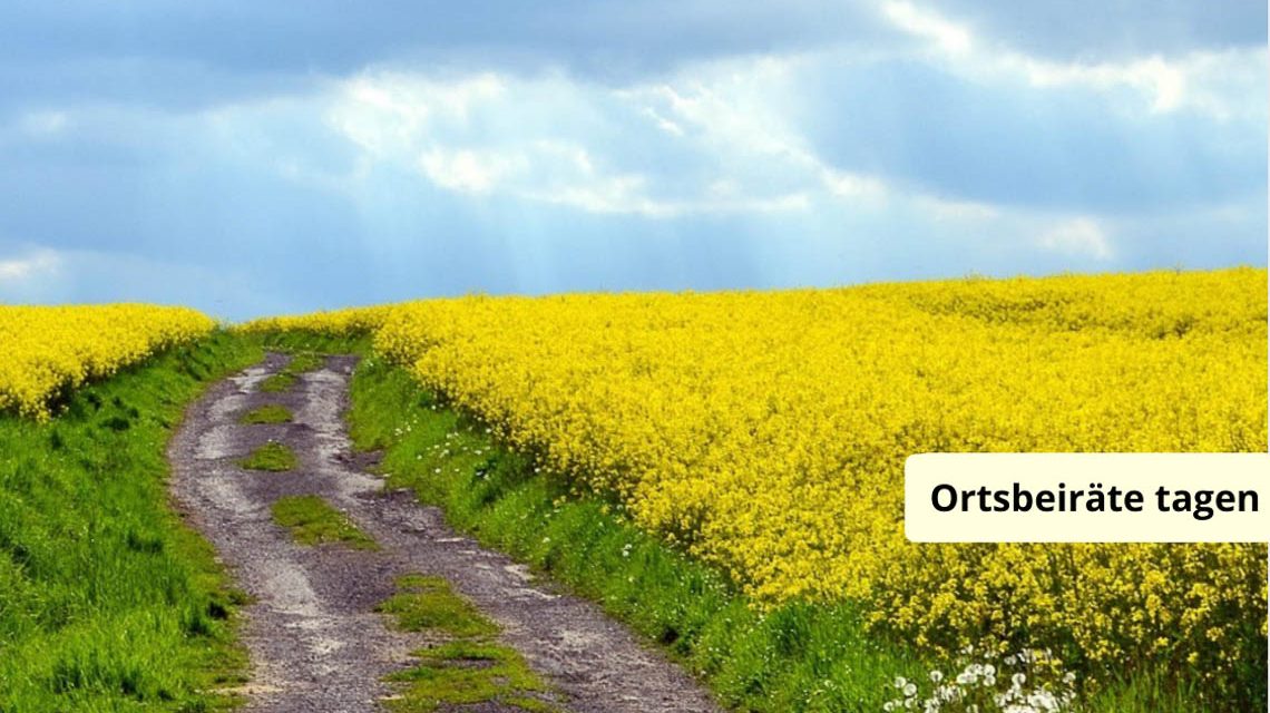 Ortsbeiräte: Feldweg, Friedhof, Fahrrad, Finanzmittel: Bürger reden mit