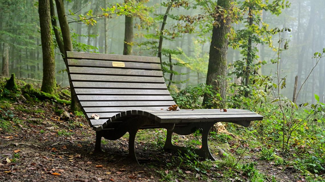 Rastplatz im Wiesbadener Stadtwald.