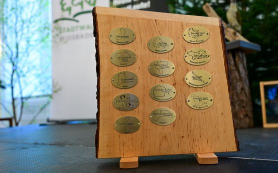 Wiesbadener Stadtwald, Waldgebiet des Jahres. Plaketten auf Wanderpokal.